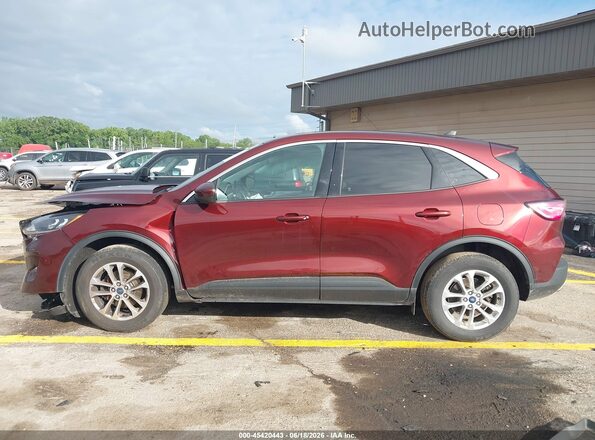 1FMCU9G68MUB06688 2021 FORD ESCAPE Maroon 
