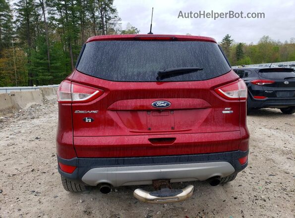 1FMCU9G91GUA57686 2016 FORD ESCAPE Красный Вид сзади