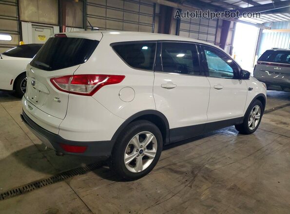 1FMCU9G93GUB25308 2016 FORD ESCAPE White Հետևի աջ