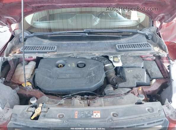1FMCU9G95GUA66746 2016 FORD ESCAPE Red Widok z tyłu
