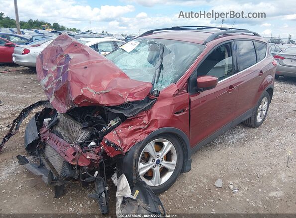 1FMCU9G96GUB87608 2016 FORD ESCAPE Red Vista tres cuartos delantera izquierda