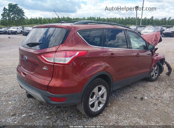 1FMCU9G96GUB87608 2016 FORD ESCAPE Red Trasero derecho