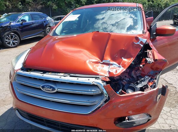 1FMCU9GD0KUA58342 2019 FORD ESCAPE Orange უკანა ხედი