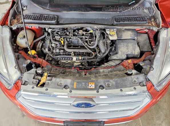 1FMCU9GD5KUB32323 2019 FORD ESCAPE Orange უკანა სალონის ხედი