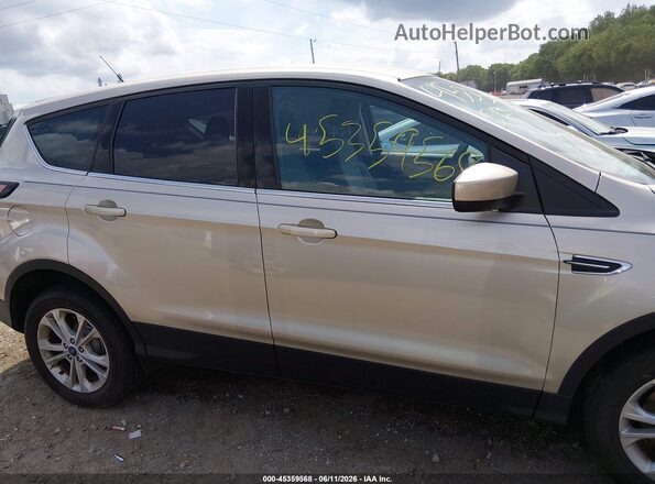 1FMCU9GD6HUD73395 2017 FORD ESCAPE Gold უკანა სალონის ხედი