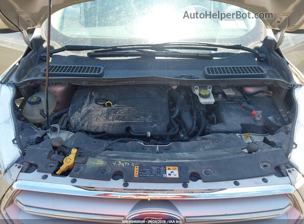 1FMCU9GD7JUA81146 2018 FORD ESCAPE Tan Vista trasera