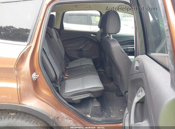 1FMCU9GDXHUB39230 2017 FORD ESCAPE Brown VIN կոդի պիտակի տեսք