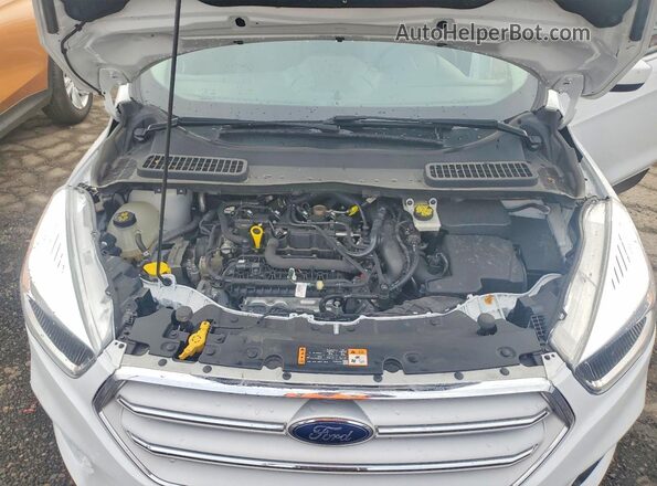 1FMCU9GDXKUB24704 2019 FORD ESCAPE White 