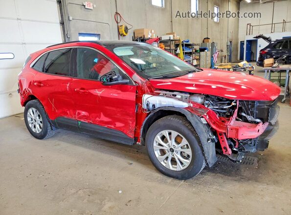 1FMCU9GN3RUB46157 2024 FORD ESCAPE Red Przód prawy