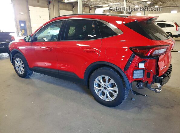 1FMCU9GN3RUB46157 2024 FORD ESCAPE Red Tył lewy
