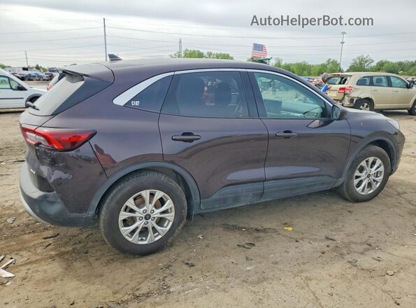 1FMCU9GN7PUB38902 2023 FORD ESCAPE Burgundy Հետևի աջ