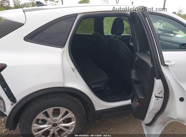 1FMCU9GN8SUB32101 2025 FORD ESCAPE Black Vista de la etiqueta del VIN