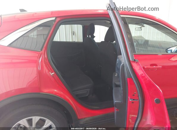 1FMCU9GN9RUB00851 2024 FORD ESCAPE Red Вид наклейки з VIN-кодом