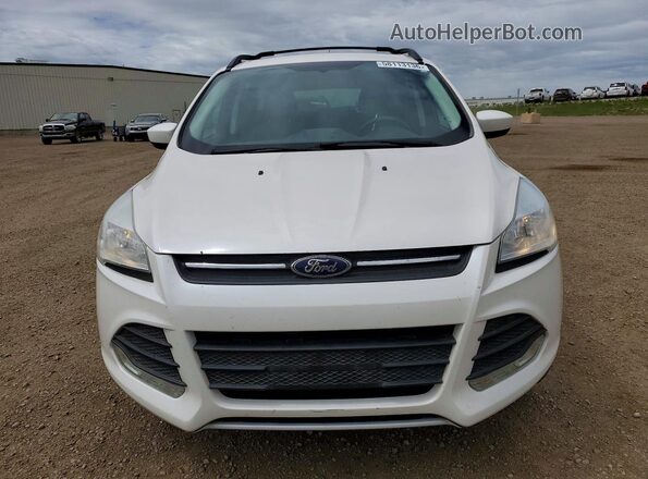 1FMCU9GX0DUD26786 2023 FORD ESCAPE Белый Вид спереди