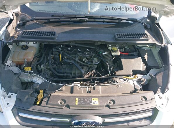 1FMCU9GX3GUB75012 2016 FORD ESCAPE White უკანა ხედი