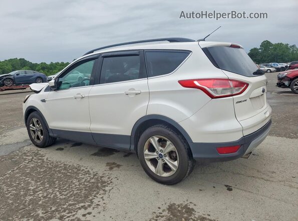 1FMCU9GX7GUB68595 2016 FORD ESCAPE Белый Задняя левая четверть
