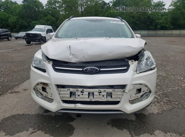 1FMCU9GX7GUB68595 2016 FORD ESCAPE Белый Вид спереди