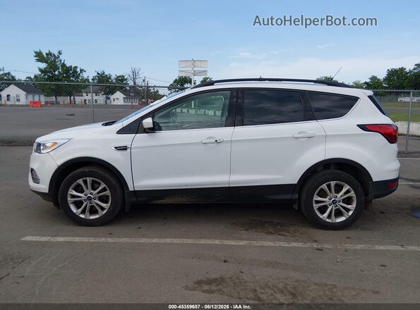 1FMCU9HD2KUA66229 2019 FORD ESCAPE Белый Панорамный вид салона 360°