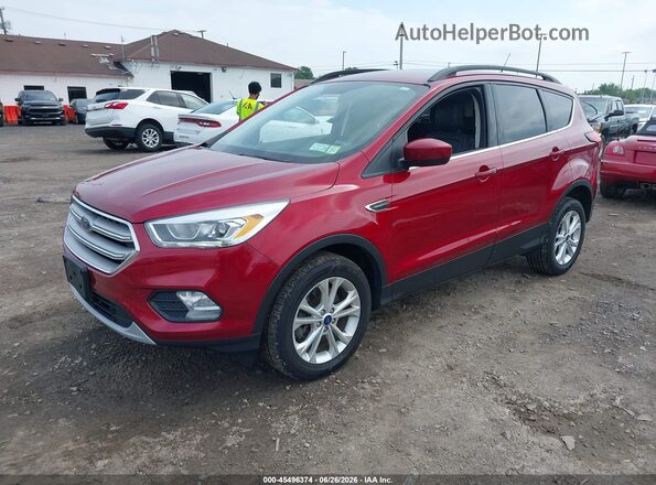 1FMCU9HD4KUA14357 2019 FORD ESCAPE Red Przód lewy