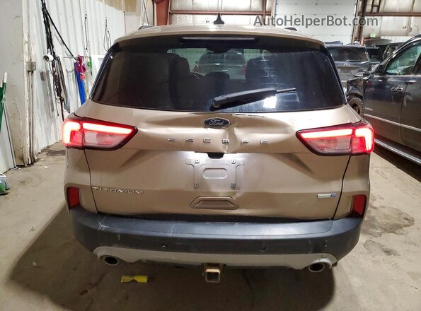 1FMCU9J90LUB20120 2020 FORD ESCAPE Gold Rear view