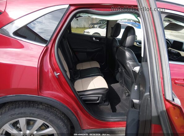 1FMCU9J91MUB36022 2021 FORD ESCAPE Red VIN sticker view