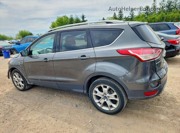 1FMCU9J94GUB09255 2016 FORD ESCAPE Серый Задняя левая четверть