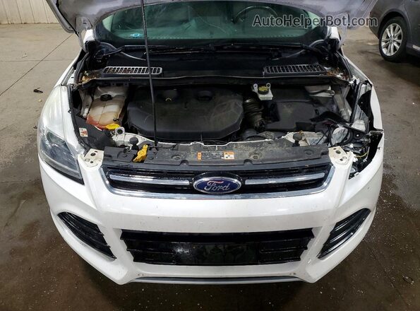 1FMCU9J95GUC24902 2016 FORD ESCAPE Белый Вид подкапотного пространства