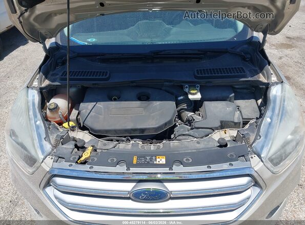 1FMCU9J95HUE66266 2017 FORD ESCAPE Beige Widok z tyłu