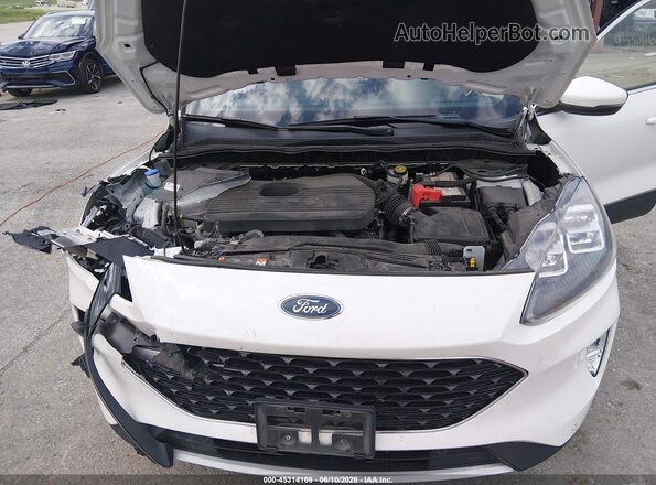 1FMCU9J98LUB20172 2020 FORD ESCAPE  უკანა ხედი