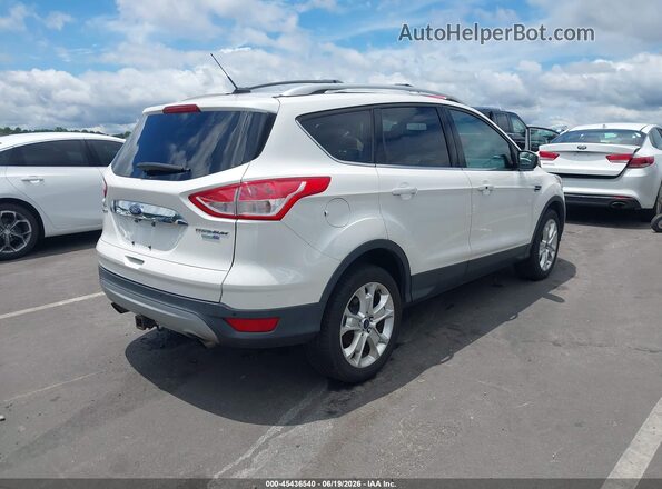 1FMCU9J9XGUC34079 2016 FORD ESCAPE White Հետևի աջ