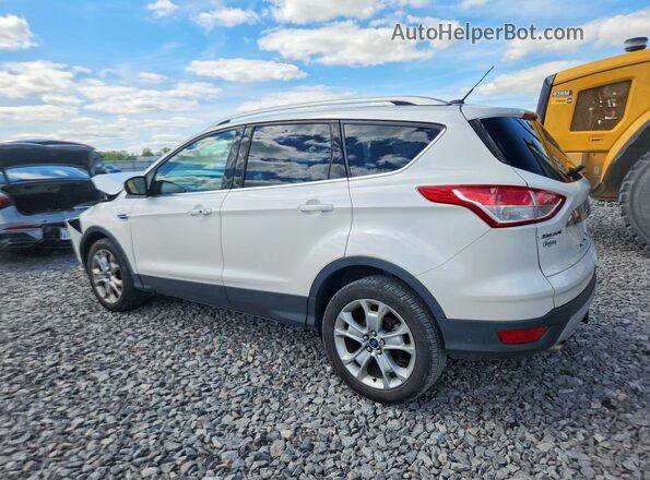 1FMCU9J9XGUC91432 2016 FORD ESCAPE White Հետևի ձախ