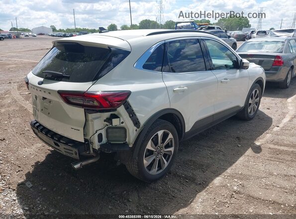1FMCU9JA3RUB33687 2024 FORD ESCAPE White Tył prawy
