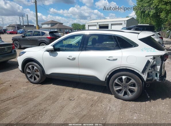 1FMCU9JA3RUB33687 2024 FORD ESCAPE White Widok wnętrza 360 stopni