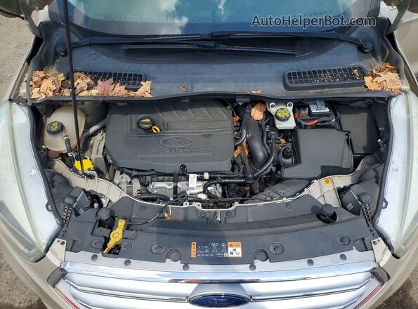 1FMCU9JD0HUA18134 2017 FORD ESCAPE Beige Շարժիչի բաժամունքի տեսք