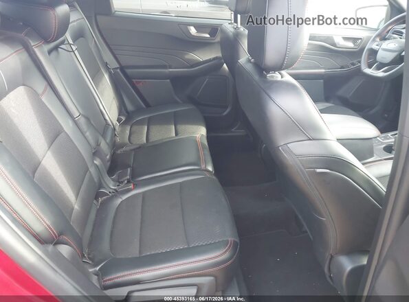 1FMCU9MN4SUA99764 2025 FORD ESCAPE Red VIN կոդի պիտակի տեսք