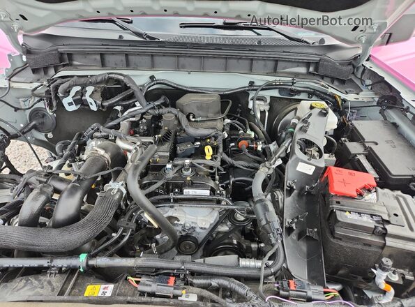 1FMDE7BH4RLB39294 2024 FORD BRONCO Pink Вид підкапотного простору