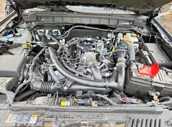 1FMEE2BP2RLB04171 2024 FORD BRONCO Black 