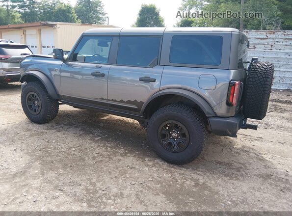 1FMEE5DP6PLB54793 2023 FORD BRONCO Gray უკანა მარცხენა