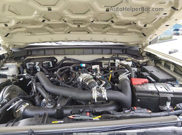 1FMEE9BP2SLB20577 2025 FORD BRONCO Cream Вид ззаду