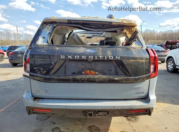 1FMJK1J87SEA76213 2025 FORD EXPEDITION Gray უკანა ხედი
