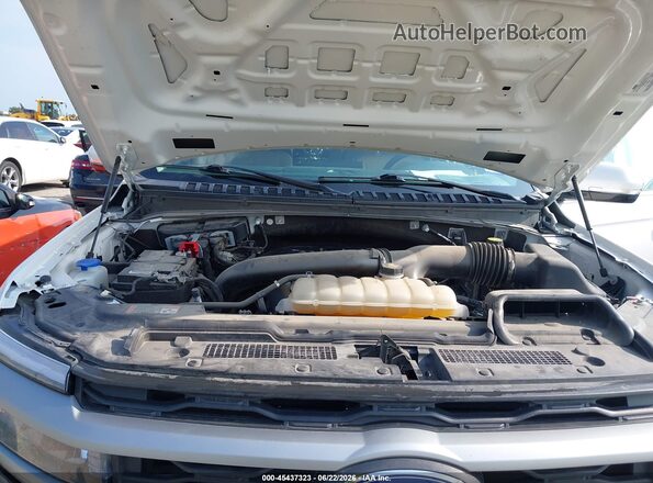 1FMJU1H80REA97852 2024 FORD EXPEDITION White Widok z tyłu