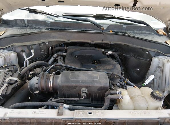 1FMSK7DH6LGC28698 2020 FORD EXPLORER Green უკანა ხედი