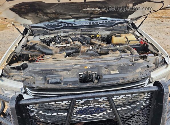 1FT7W2BT5KEE11612 2019 FORD F250 White Սալոնի հետևի տեսք