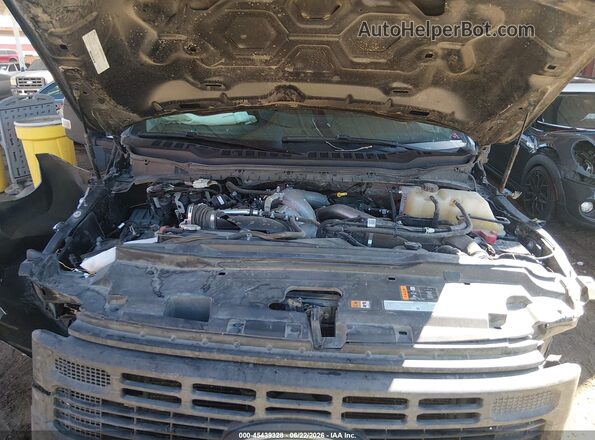 1FT7W2BT9REF56629 2024 FORD F-250 Gray Հետևի տեսք