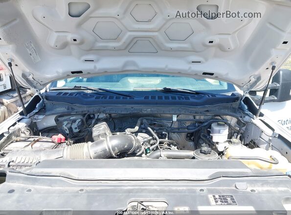 1FT7X2AAXPED16533 2023 FORD F-250 White უკანა ხედი