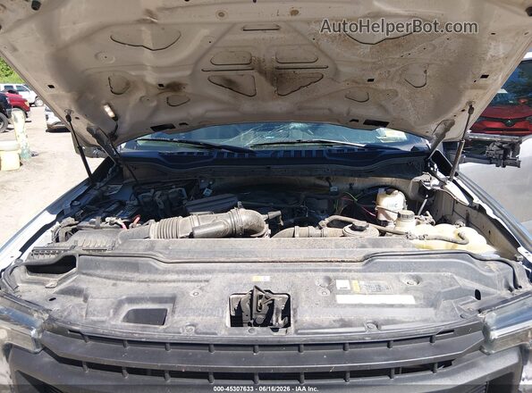 1FT7X2BN9LEE98849 2020 FORD F-250 Gray Widok z tyłu