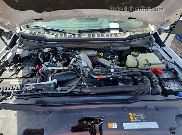 1FT8W2BM3SEC79303 2025 FORD F-250 White 