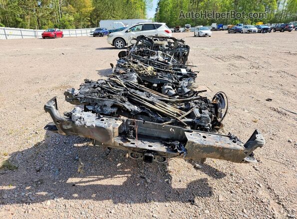 1FT8W2BN9REC12532 2024 FORD F250 Burn Widok z tyłu