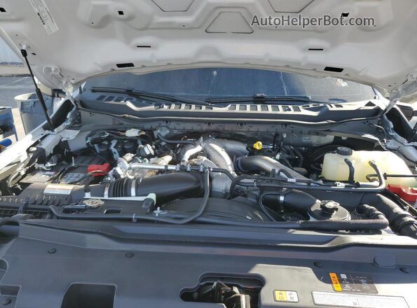 1FT8W2BT0SEE02501 2025 FORD F250 Gray Սալոնի հետևի տեսք