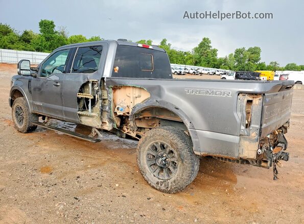 1FT8W2BT8MEE06928 2021 FORD F250 Gray Հետևի ձախ